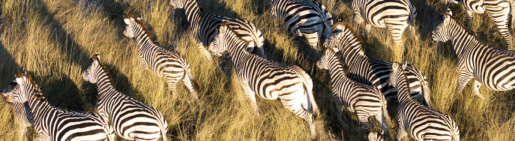 A la carte travel to Southern and East Africa